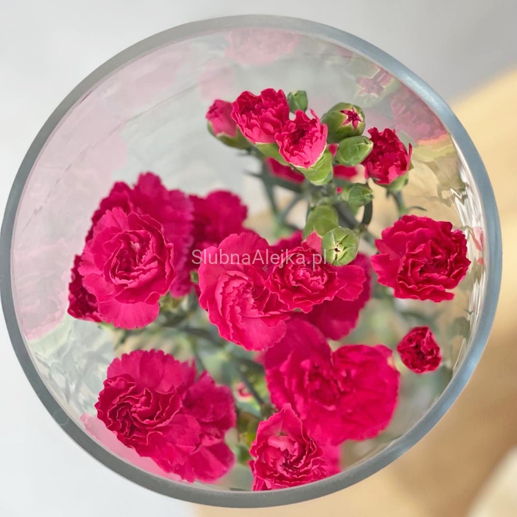 wazon cylinder grube szklo 50 cm fi15 n.jpg