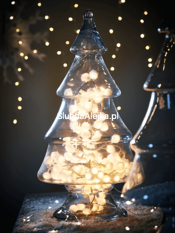 aw16-x-lrgtree_x-snowlight.png