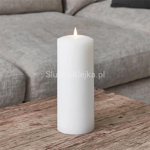 swieca zwyczajna biała duża.jpg
