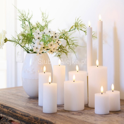 swieca biała zwyczajna fi 60.jpg