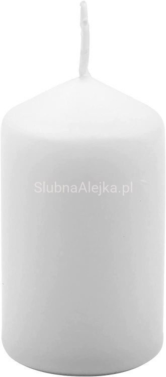 SWIECA BIALA ZWYCZAJNA 50.100.jpg