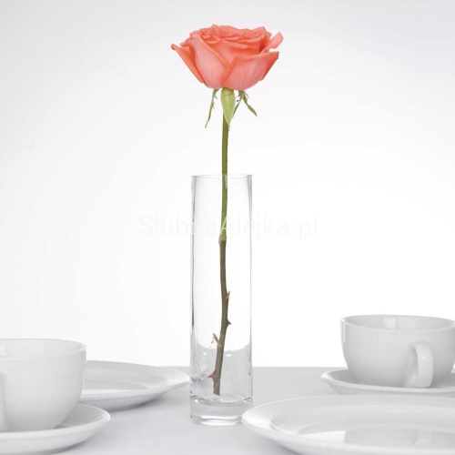 wazon szklany rurka 30 cm2.jpg