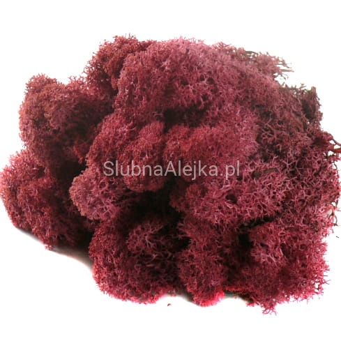 mech reniferowy burgund 200g.jpg