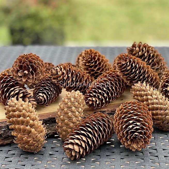 szyszki świerkowe naturalne 20 szt.jpg