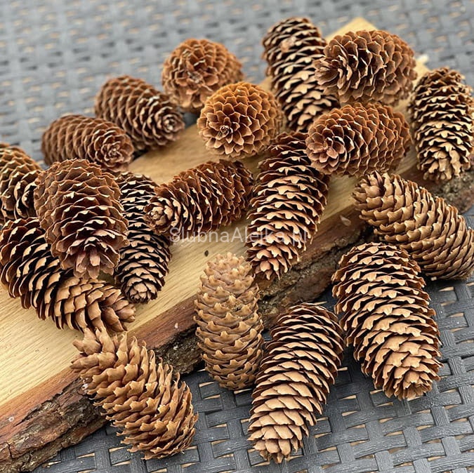 szyszki świerkowe natura 20 szt.jpg