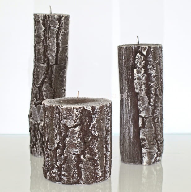 Swieca pniak-pniak.jpg