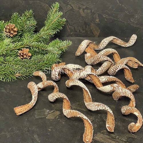 susz egzotyczny palm cobra 10 szt..jpg