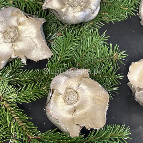 palm cap 10 szt szampan.jpg