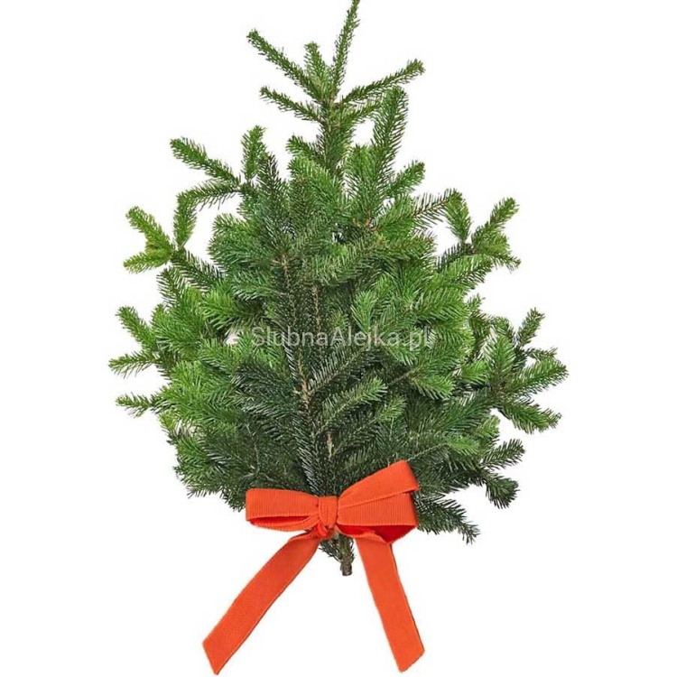 Galezie jodlu kaukazkiej 5kg.jpg