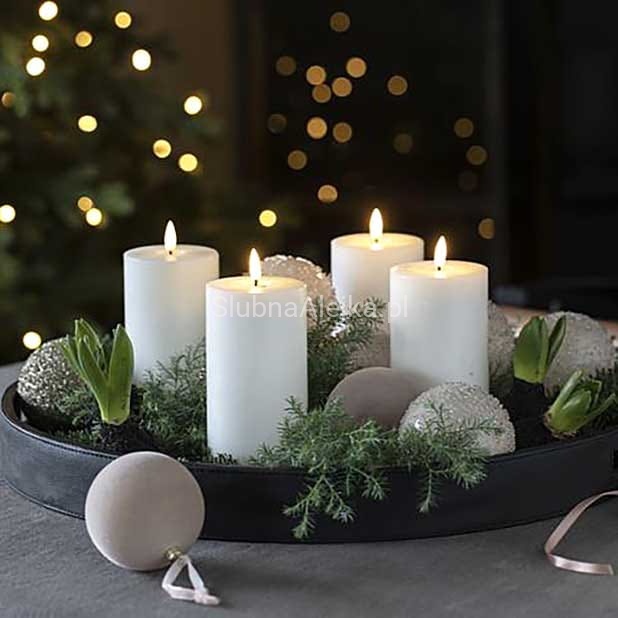 swieca biala zwyczajna pienkowa.jpg