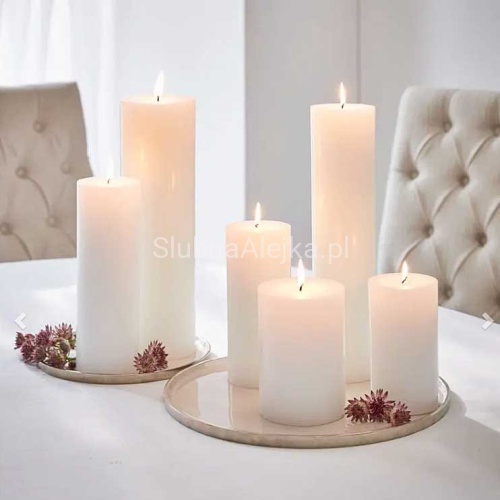 swieca zwyczajna biala tt nn.jpg