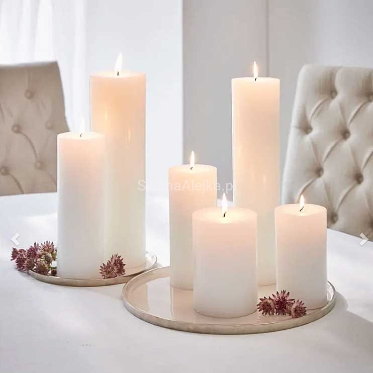 swieca zwyczajna biala tt nn.jpg