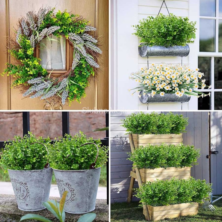 gałązka bukszpan jak zywa.jpg