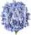 hortensja bukietowa niebieska sztuczna 70cm.jpg