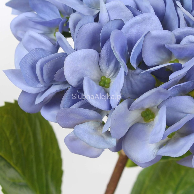 hortensja bukietowa niebieska 70 cm 1.jpg
