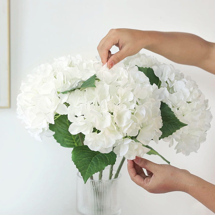 hortensja biała 70.jpg