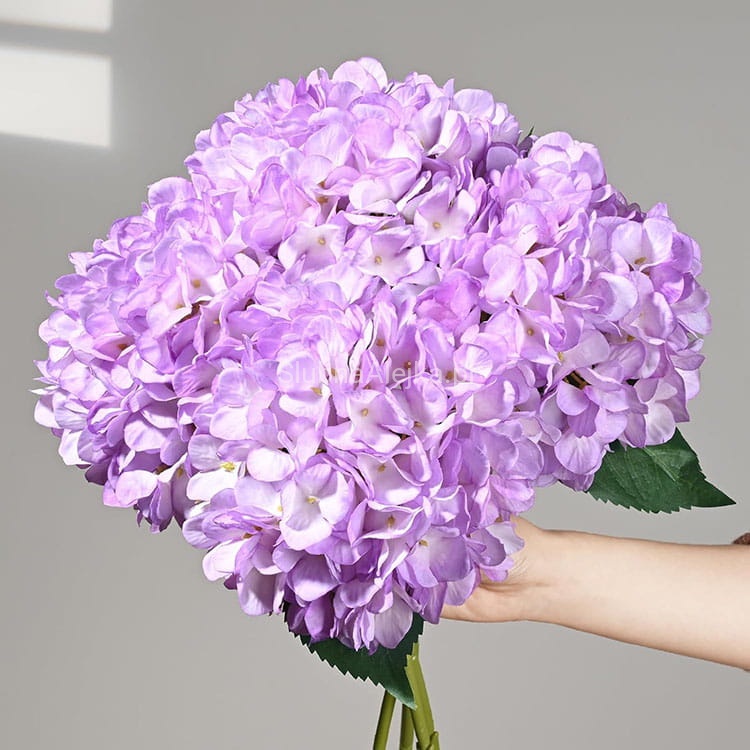 hortensja fioletowa 70cm.jpg