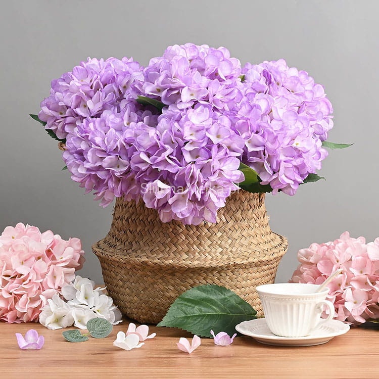 ]hortensja fioletowa 70c 6.jpg