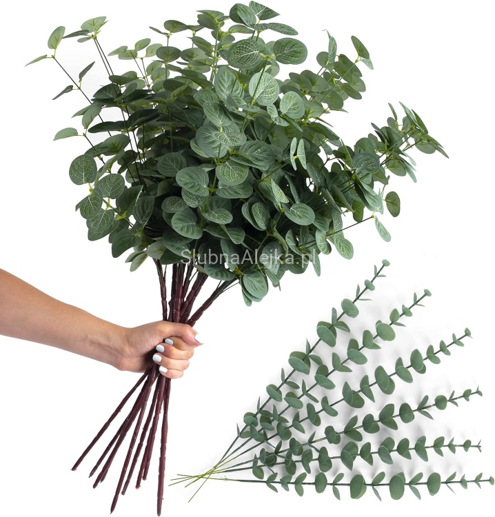 Galazka eukaliptus 60cm 3.jpg