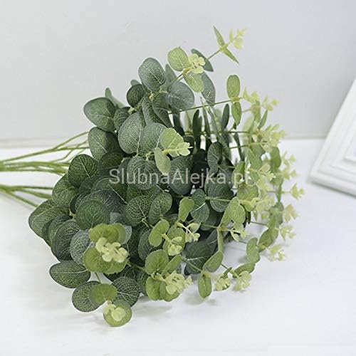 galazka eukaliptus.jpg