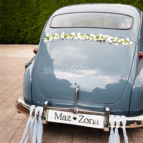 TABLICE MAZ ZONA.jpg