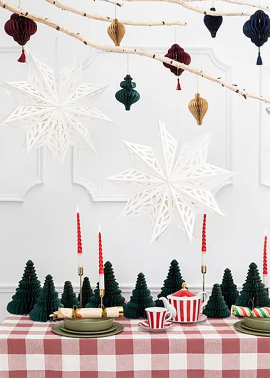 gwiazda azur biala.jpg