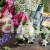 floret mokry 1.jpg