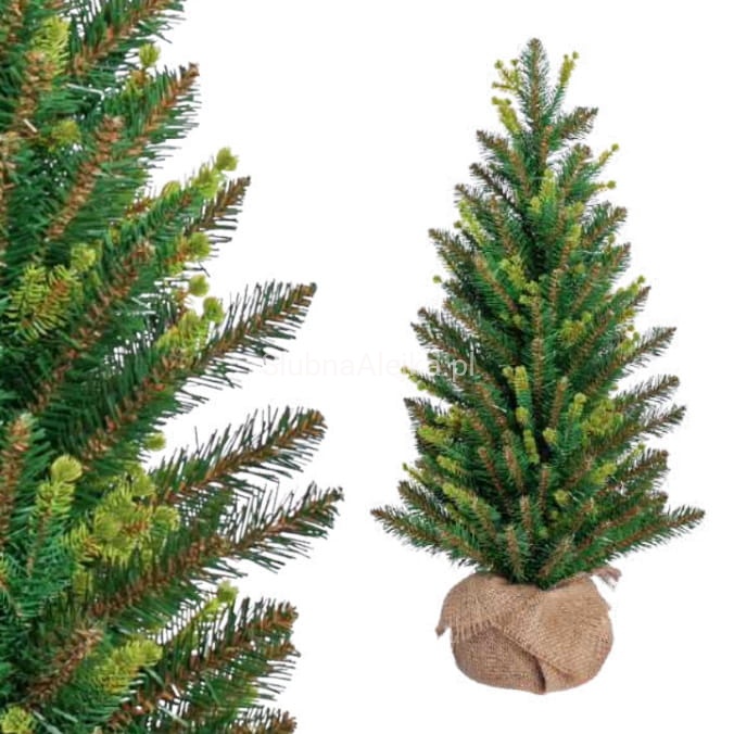 choinka cyprys zielona .jpg