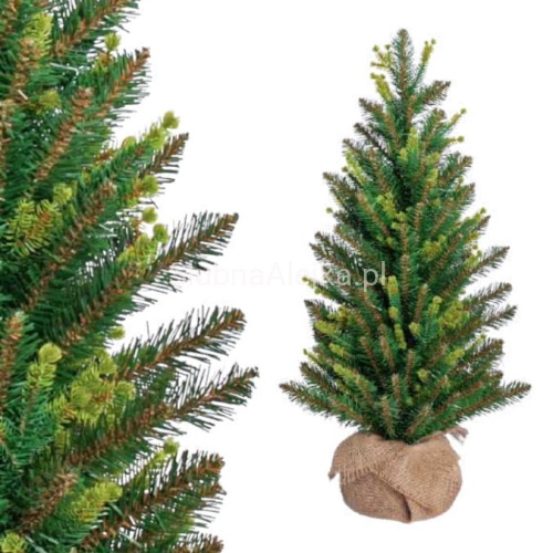 choinka cyprys zielona .jpg