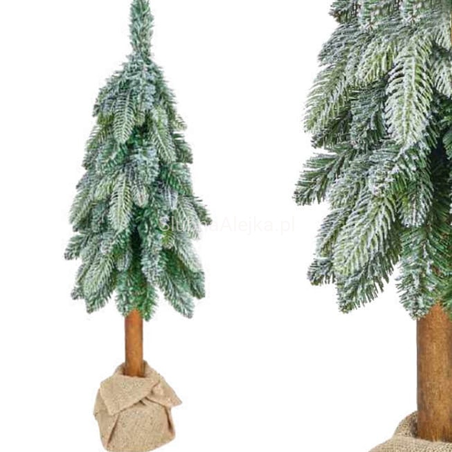 choinka oslo pe frost.jpg