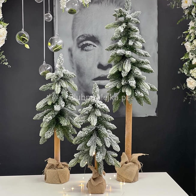 Choinka na Naturalnym Pniu Oslo PE Frost.jpg