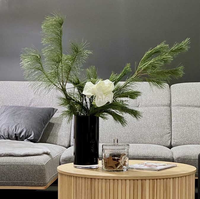 galezie sosny wejmutki 80 cm.jpg