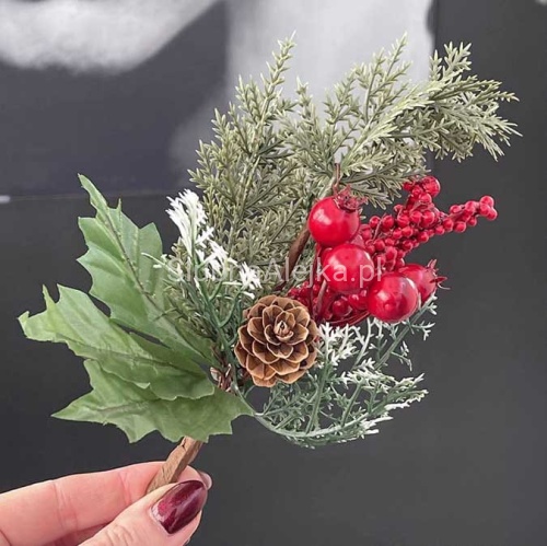 owoce lesnw na piku.jpg