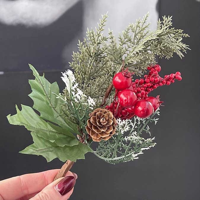 owoce lesnw na piku.jpg