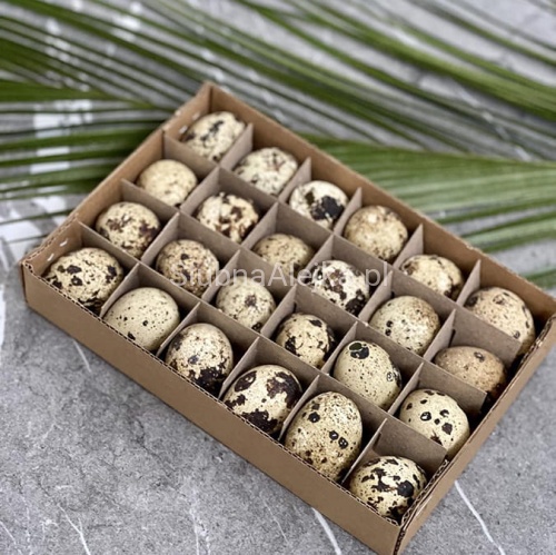 wydmuszki jajek przepiórcze 24 szt.jpg