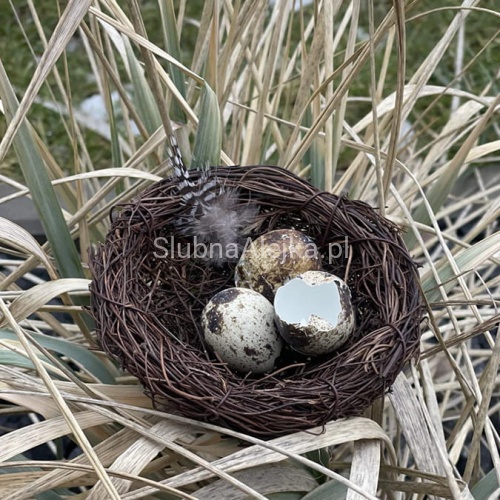 gniazdko wielkanocne z faszyny fi 10cm.jpg