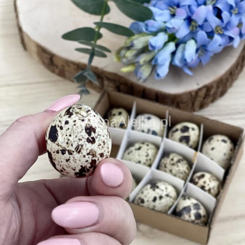 wydmuszki jajek przepiórczych 12 szt.2.jpg