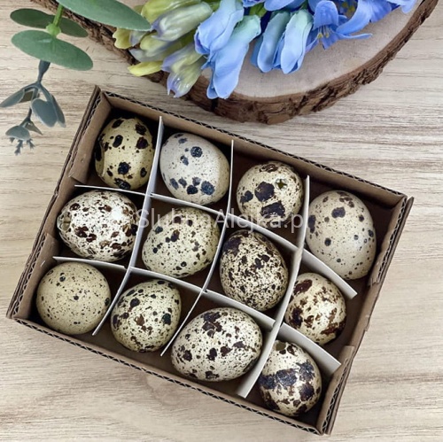 wydmuszki jajek przepiórczych 12 szt..jpg