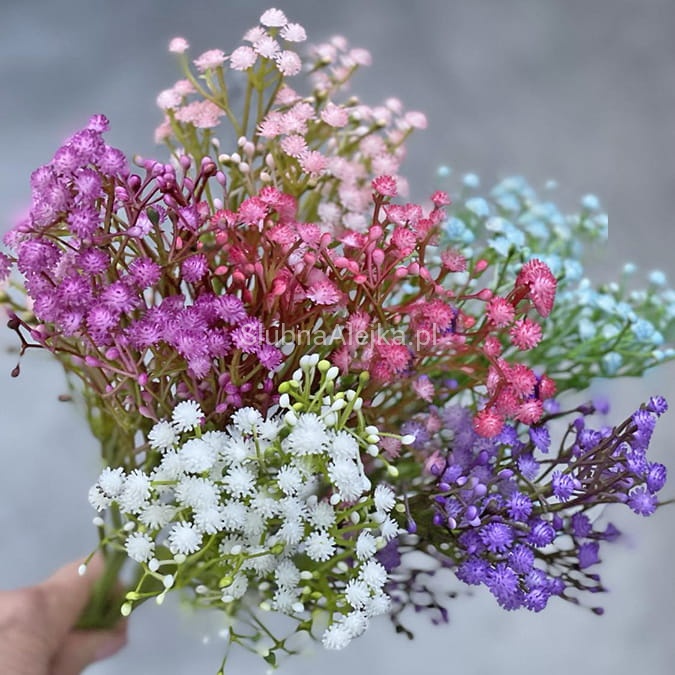 gipsówka sztuczna kolorowa mix 50 cm.jpg