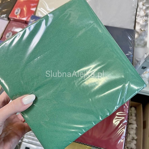 serwetki softpoint Tissue Butelkowa Zieleń 50 szt.1.jpg