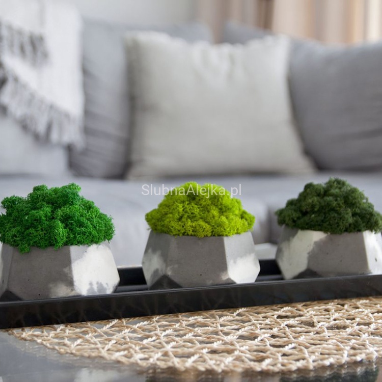 mech chrobotek zielony 200g.jpg