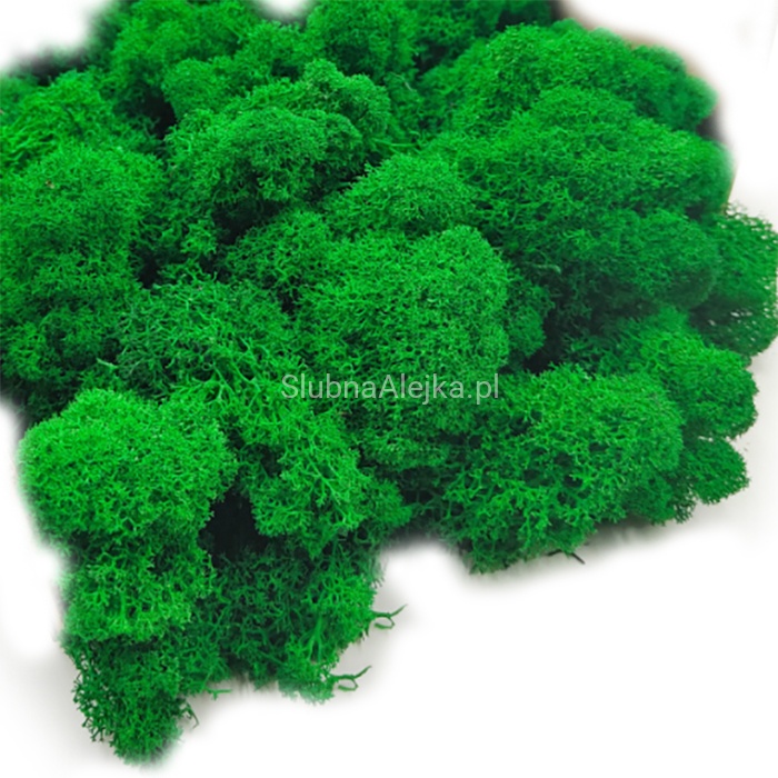 mech chrobotek soczysty zielony 200g.jpg