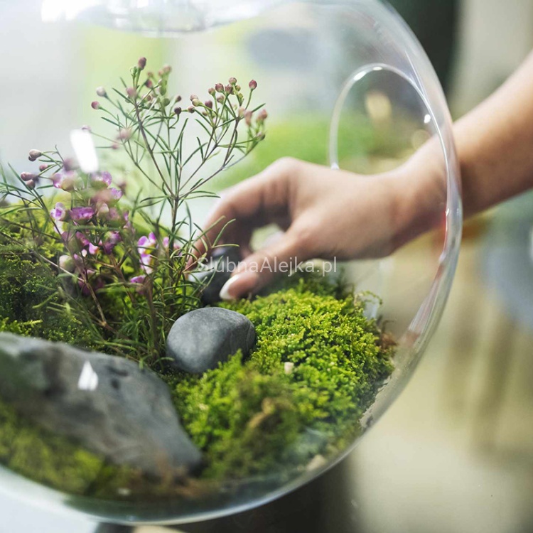 mech chrobotek zielony 200gram.jpg