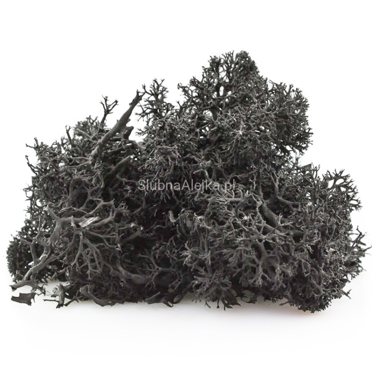 mech reniferowy szary 200g.jpg