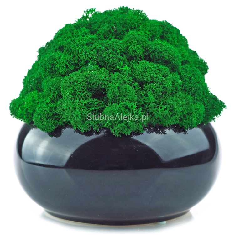 mech reniferowy ciemnozielony 200g.jpg