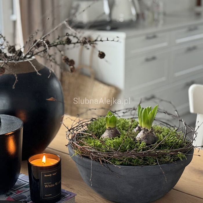 MECH CHROBOTEK ciemnozielony.jpg