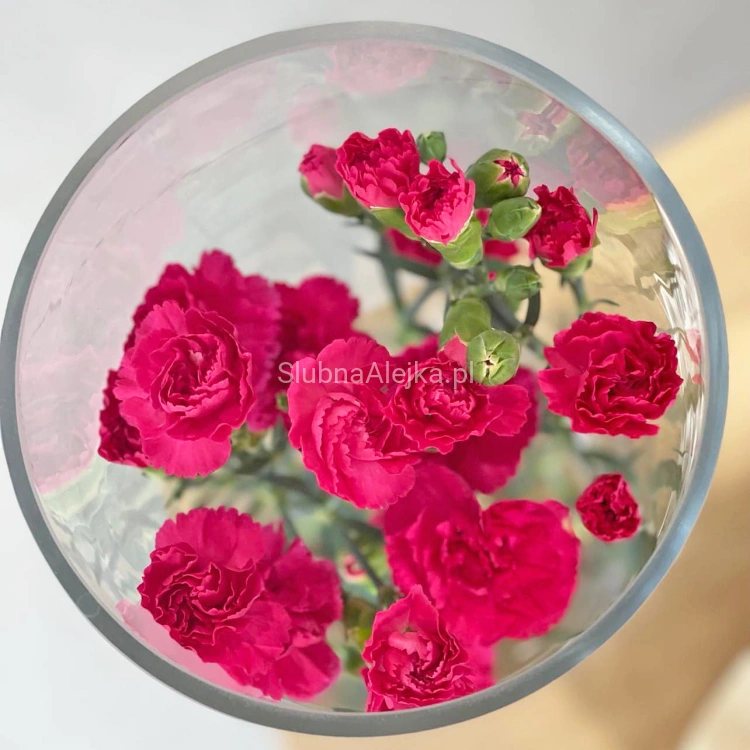 wazon cylinder grube szklo 50 cm fi15 n.jpg