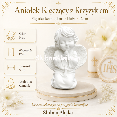 z-krzyzykiem.png