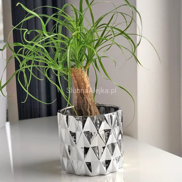 OSLONKA NA DONICZKĘ MIRROR MOON SREBRNA 13 CM.jpg