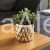 oslonka na doniczkę Golden Moon zlota 13 cm.jpg